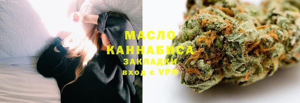 хмурый Бердск