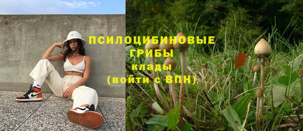 индика Лиски