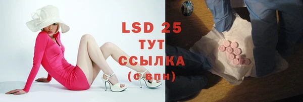 ECSTASY Ладушкин