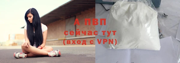 хмурый Бердск