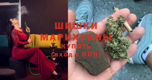 индика Лиски