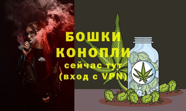 крисы Липки