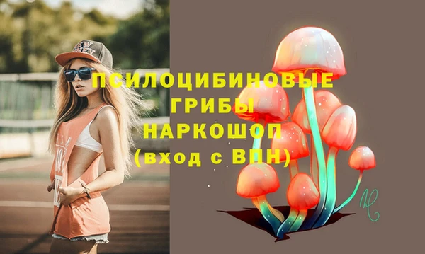 СК Лихославль