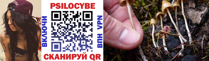 Псилоцибиновые грибы мухоморы  где можно купить наркотик  Таштагол 