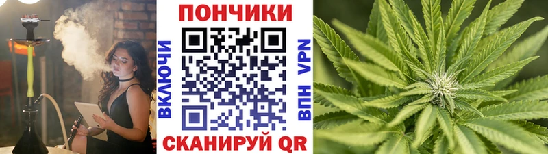 Шишки марихуана сатива  хочу   Таштагол 